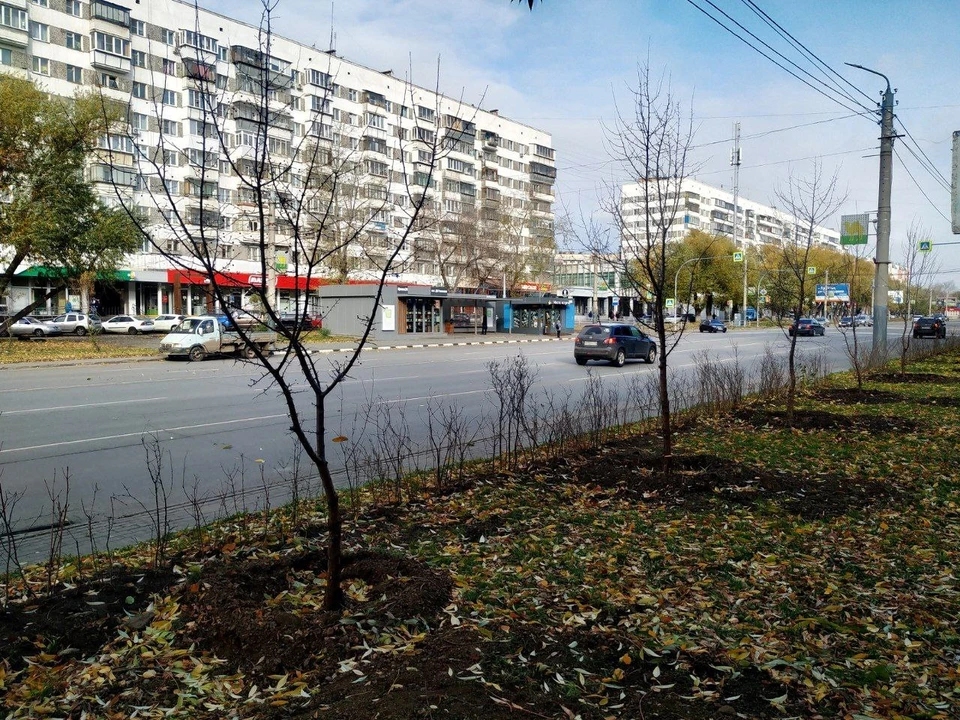 Фото: мэрия Челябинска