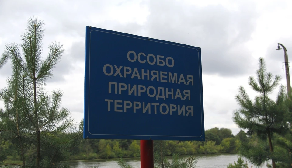 Источник: https://vk.com/dpr44