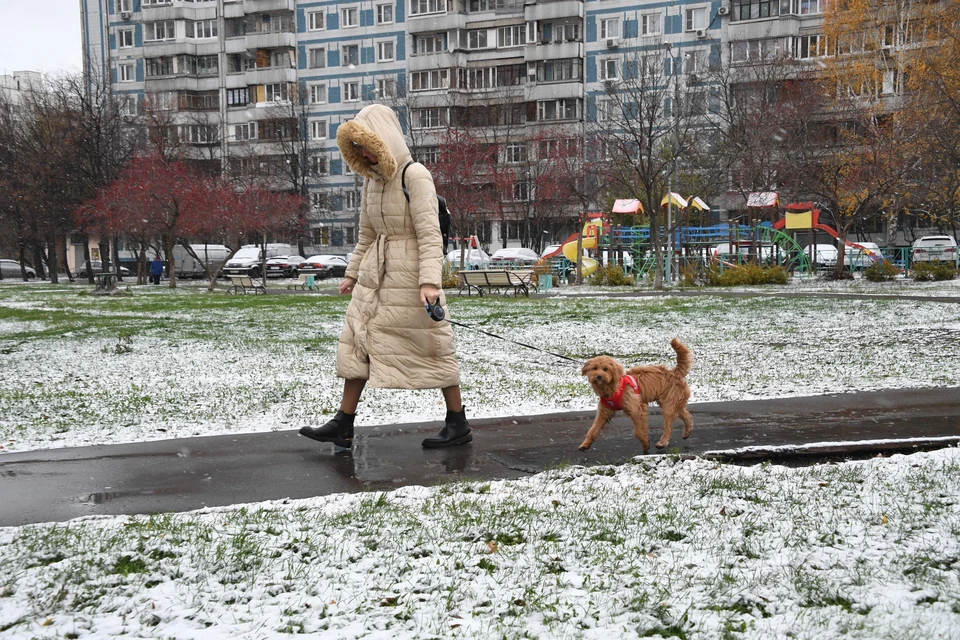 В Новосибирске продолжит идти снег.