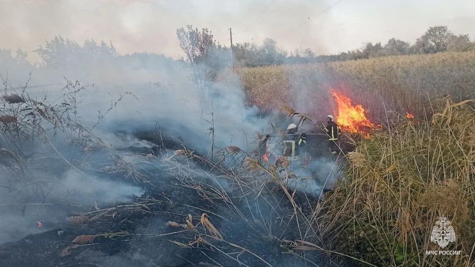 Пожарные трижды выезжали на возгорание сухой травы в Славяносербском районе. Фото - МЧС ЛНР