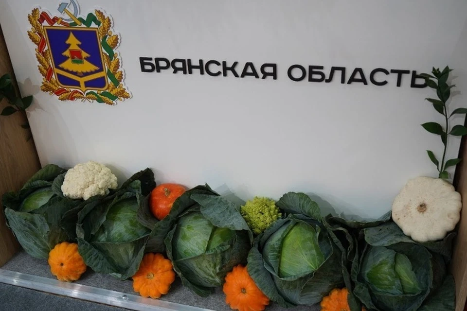 Фото: А.В. БОГОМАЗ, vk.com.