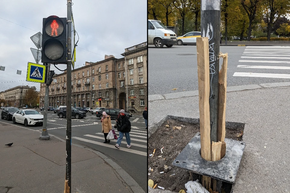 Вот такой причудливый светофор стоит на Петроградке.