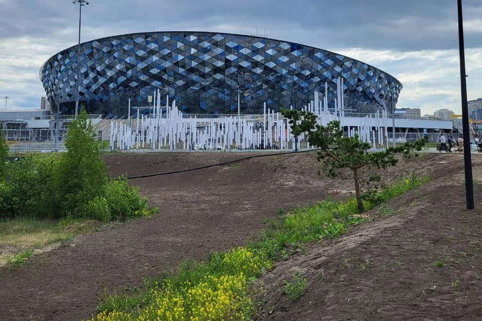 Общественные туалеты, расположенные в новосибирском парке «Арена», хотят сделать круглосуточными.