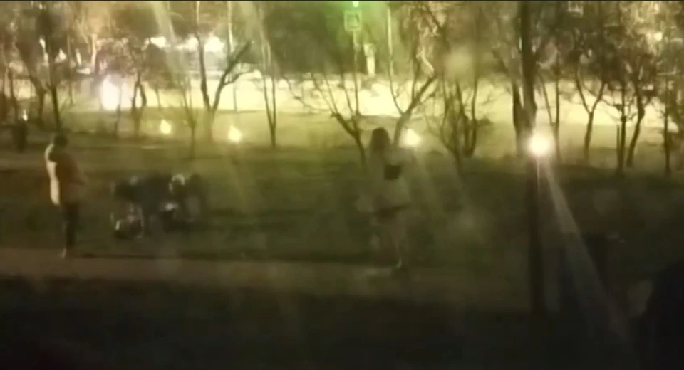 Скриншот: видео МВД по краю