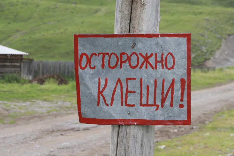 В этом году эндемичными оказались сразу 16 муниципалитетов республики