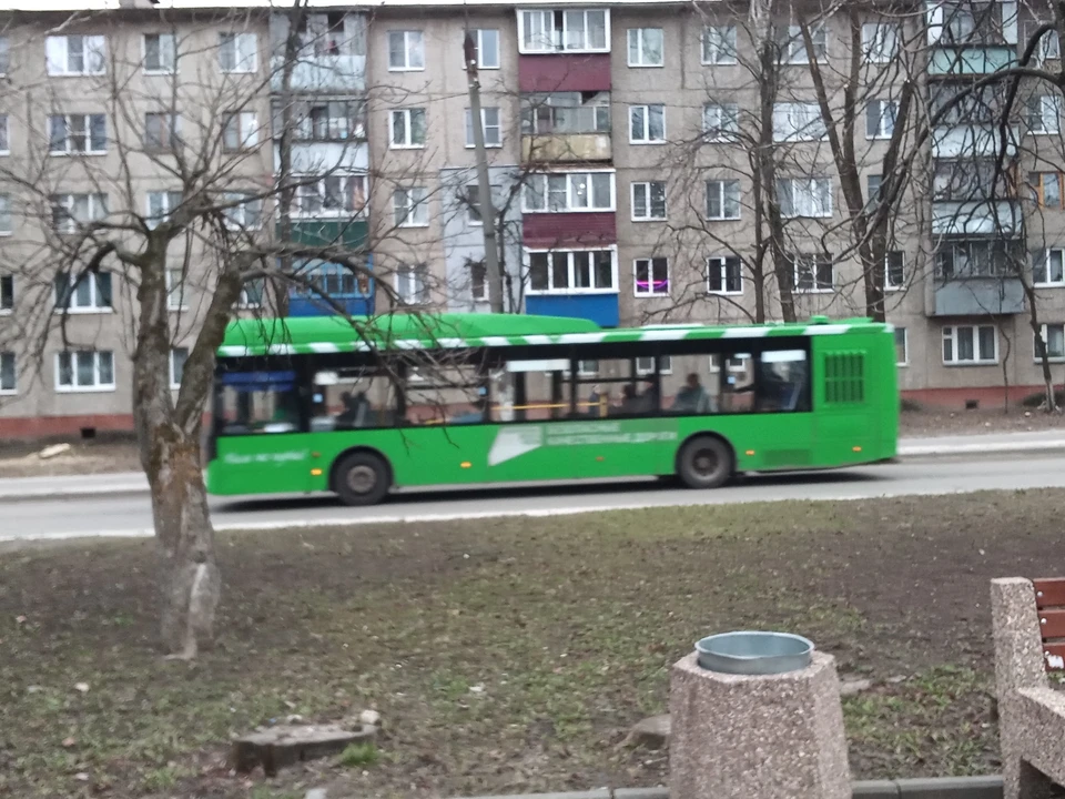 В ноябре на маршрут выйдут еще 39 новых "зеленых"