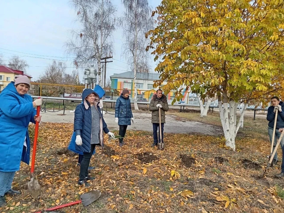 Теперь в саду появились еще несколько десятков новых деревьев. Фото: национальныепроекты.рф