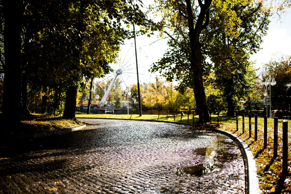 Солнце в ближайшие дни будет у нас частым гостем.