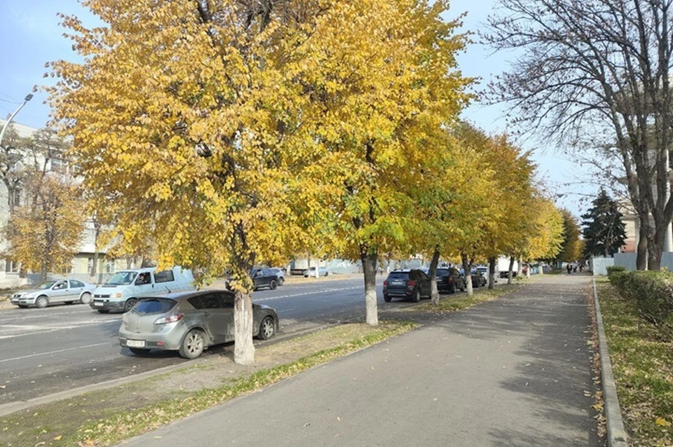 Жители ЛНР подали на конкурс семь заявок