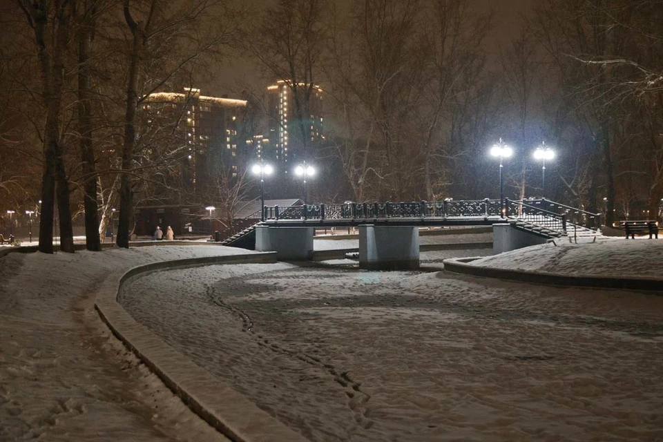 Вода в пруду покрылась коркой льда