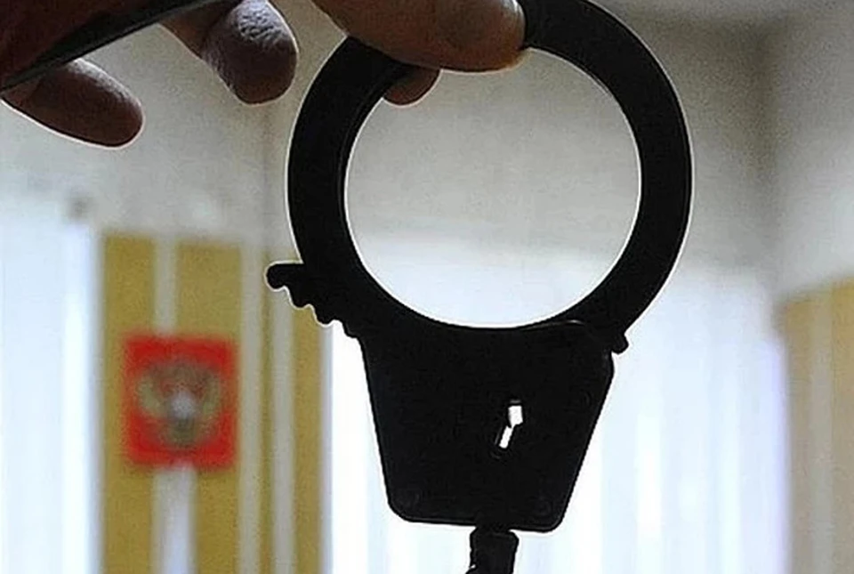 Задержанному вору телефона грозит срок.