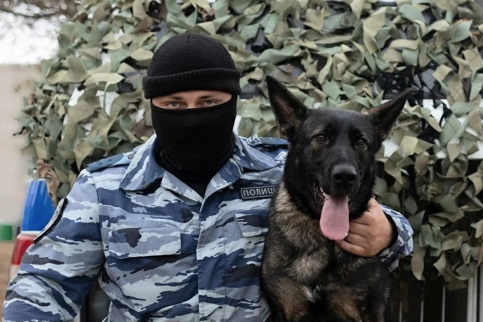 Красотка Фелиция помогает полицейским найти боеприпасы и взрывчатку Фото ВУ МВД России в Херсонской области