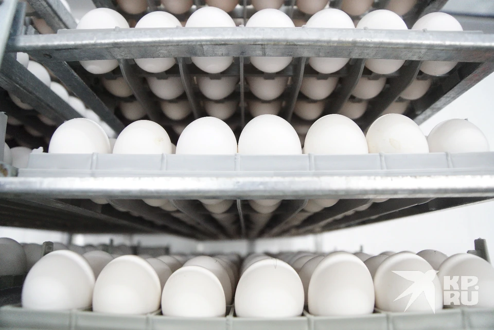 Опасные для здоровья и жизни людей куриные яйца обнаружили в рязанской ОКБ.