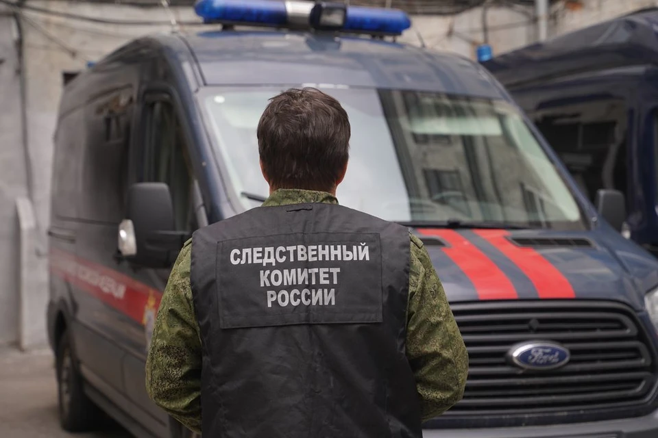 СК устанавливает обстоятельства падения девочки в люк в Новосибирске.