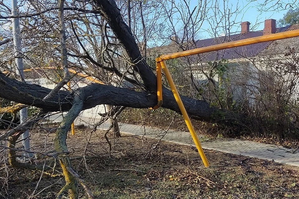 Ветер повалил деревья на трубы газоснабжения в Саках. Фото: Александр Овдиенко/ВК