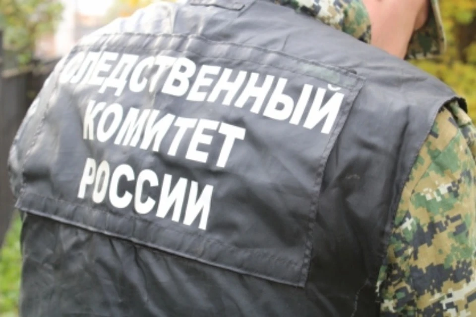 Следователем предъявлено обвинение фигуранту.