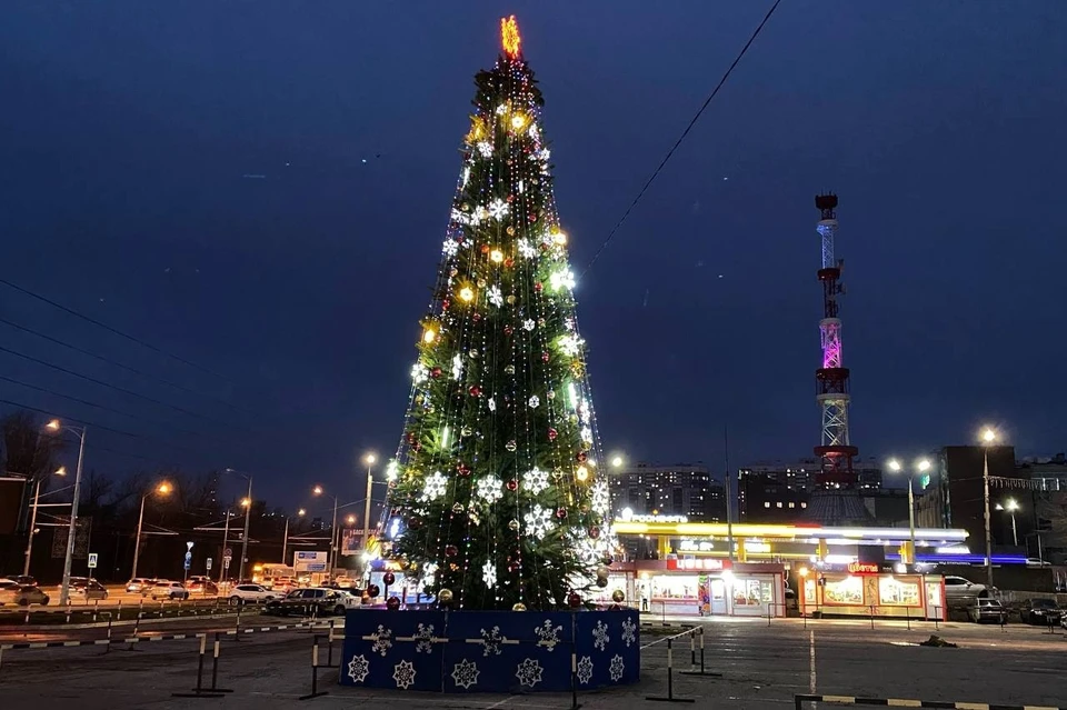 В Самаре установили новогоднюю елку