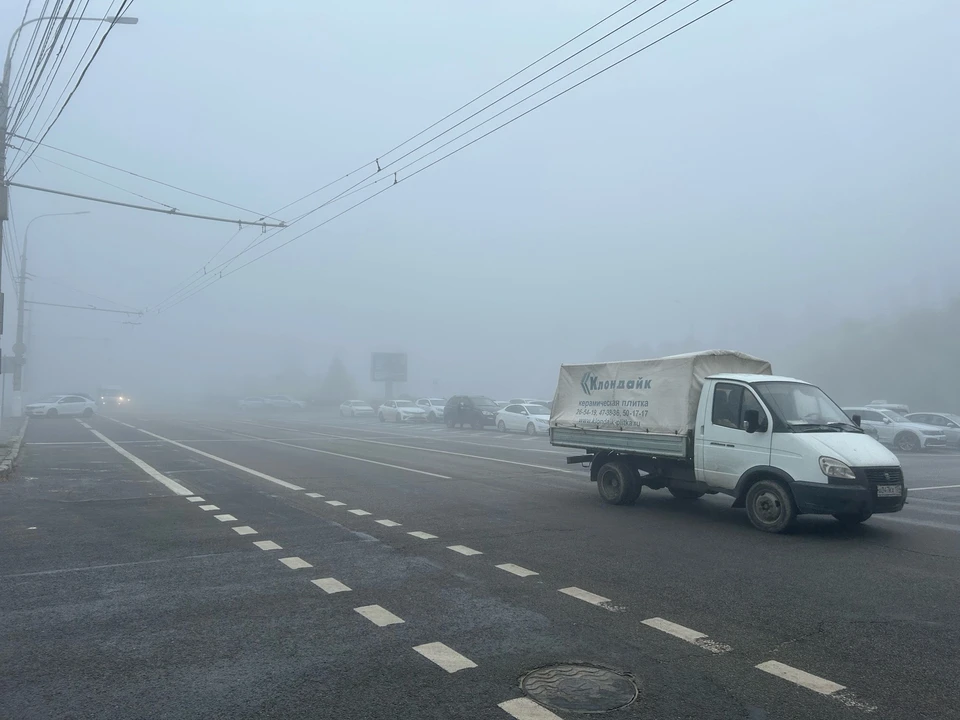 ГУ МВД предостерег водителей от ошибок на туманной дороге