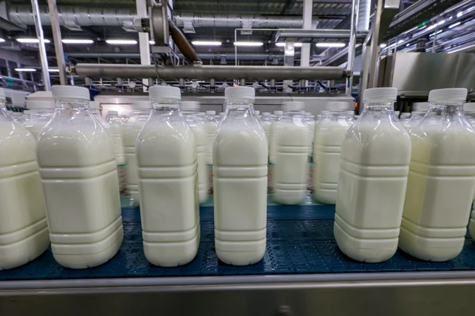 Производство молока.