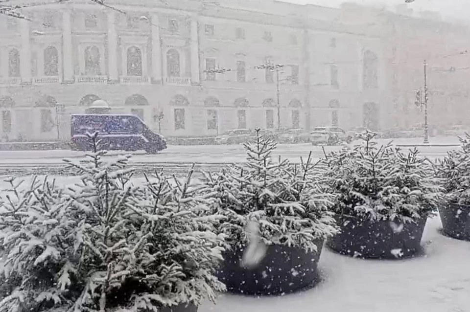 В Петербурге прошел сильный снегопад.
