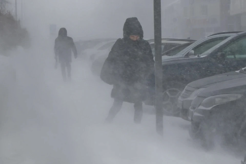 Метель, порывистый ветер и до -7 градусов мороза ожидают в Москве 23 ноября