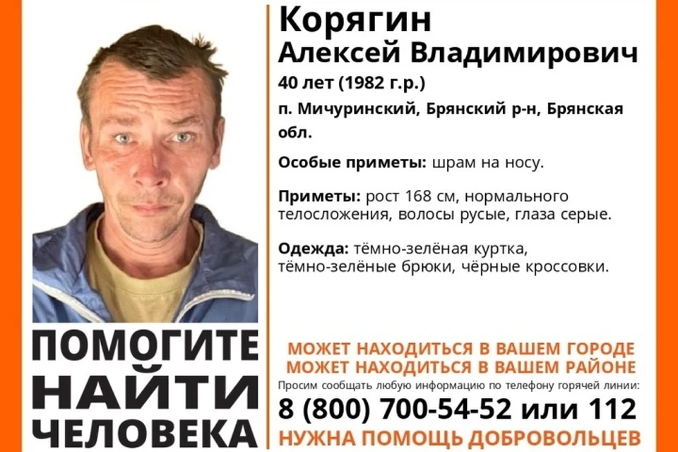 Фото: поисковый отряд "Лиза Алерт".
