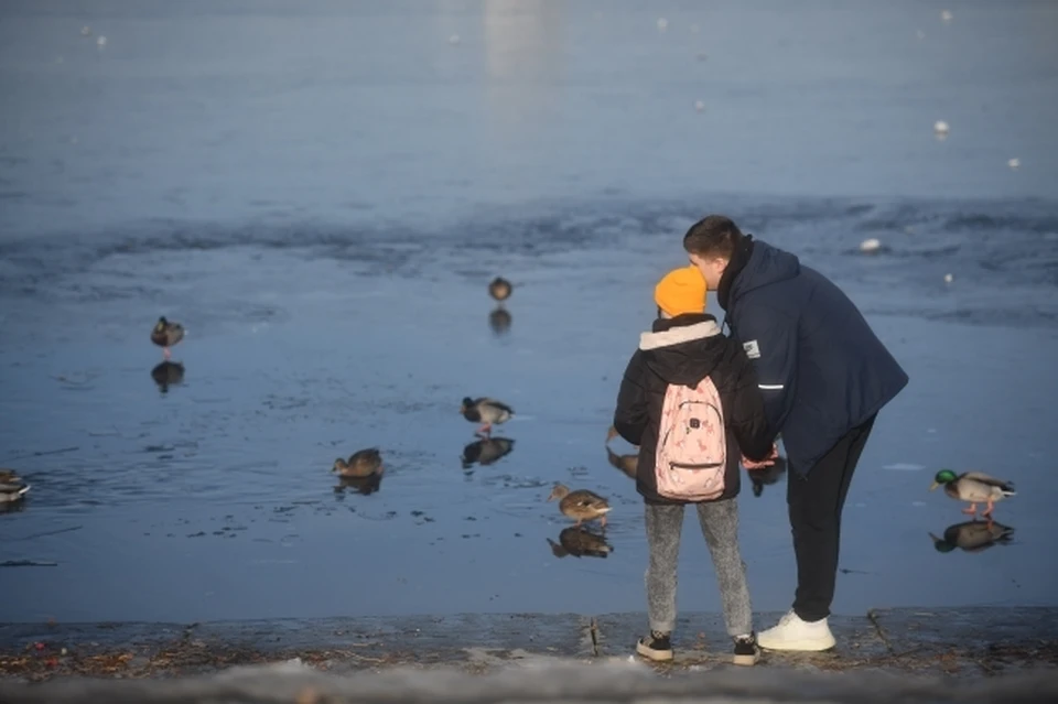 На севере области реки и озера уже покрыты льдом, однако его толщина небезопасна