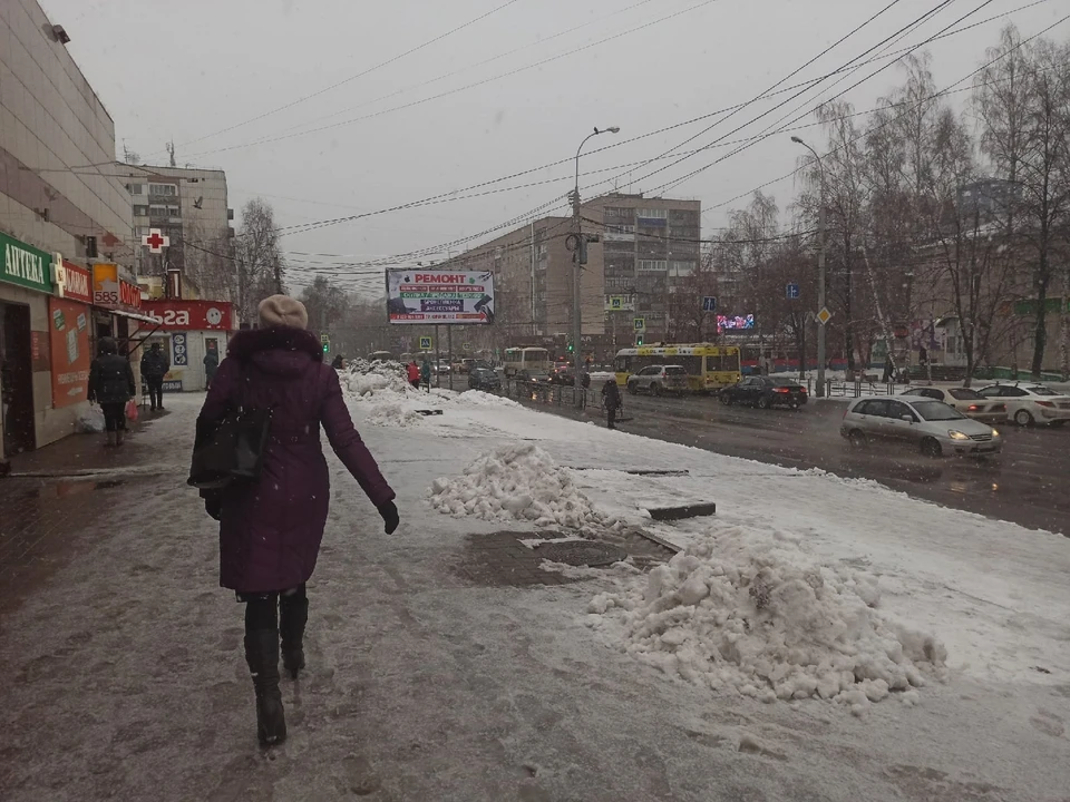 Фото: Наталья Качановская/ Аиф-Томск