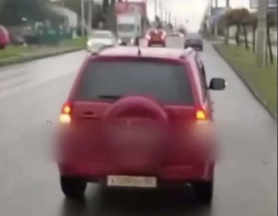 Водитель на дороге создавал условия для возникновения дтп. Фото: ТК t.me/umvd_92