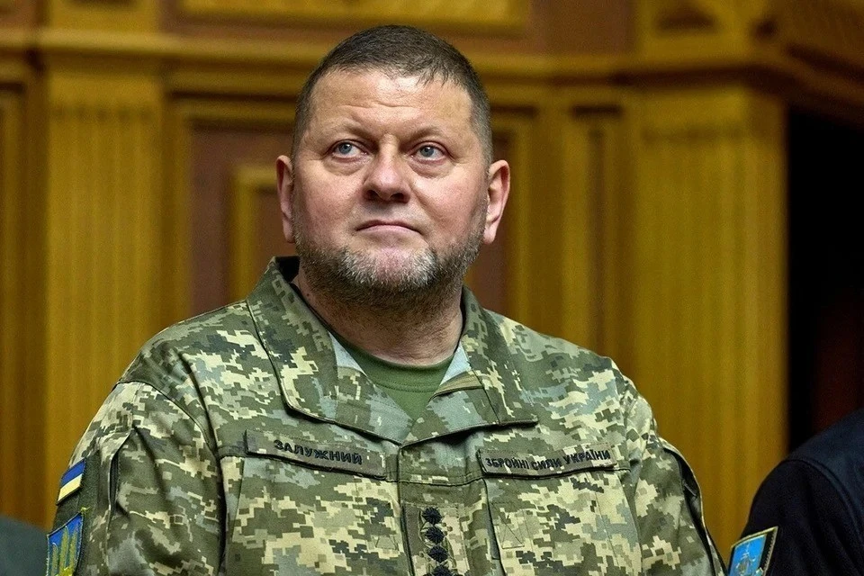 В партии Зеленского нецензурно намекнули на бездарность главкома ВСУ Залужного
