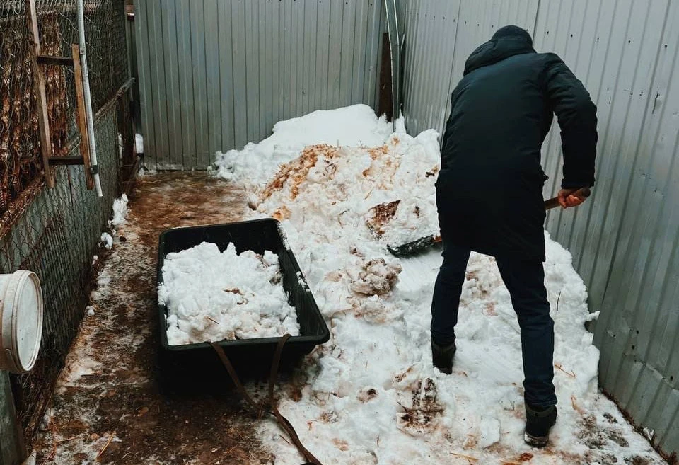 Ульяновские осужденные на принудительные работы помогли приюту «Кот и пёс» | ФОТО: группа в ВК УФСИН России по Ульяновской области
