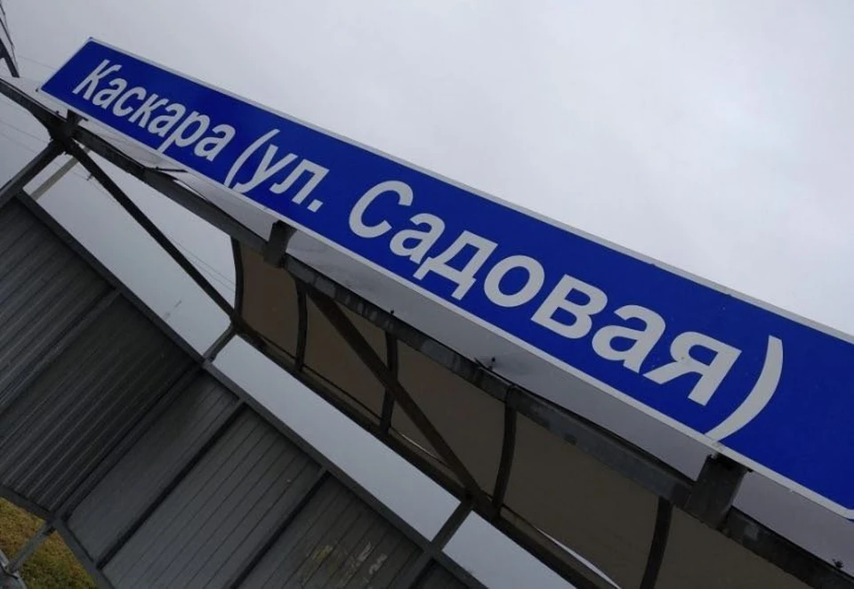 Фото: Сергей Козлов / страница в социальной сети ВКонтакте.