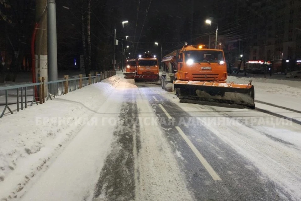 Фото: пресс-служба Брянской городской администрации.
