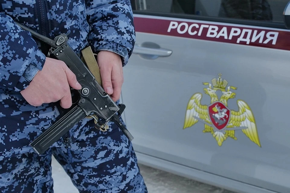По сигналу "тревога" росгвардейцы за неделю выезжали 350 раз