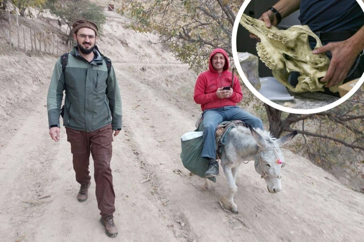 Ученые нашли в Таджикистане череп верблюда, жившего 2,5 миллиона лет назад