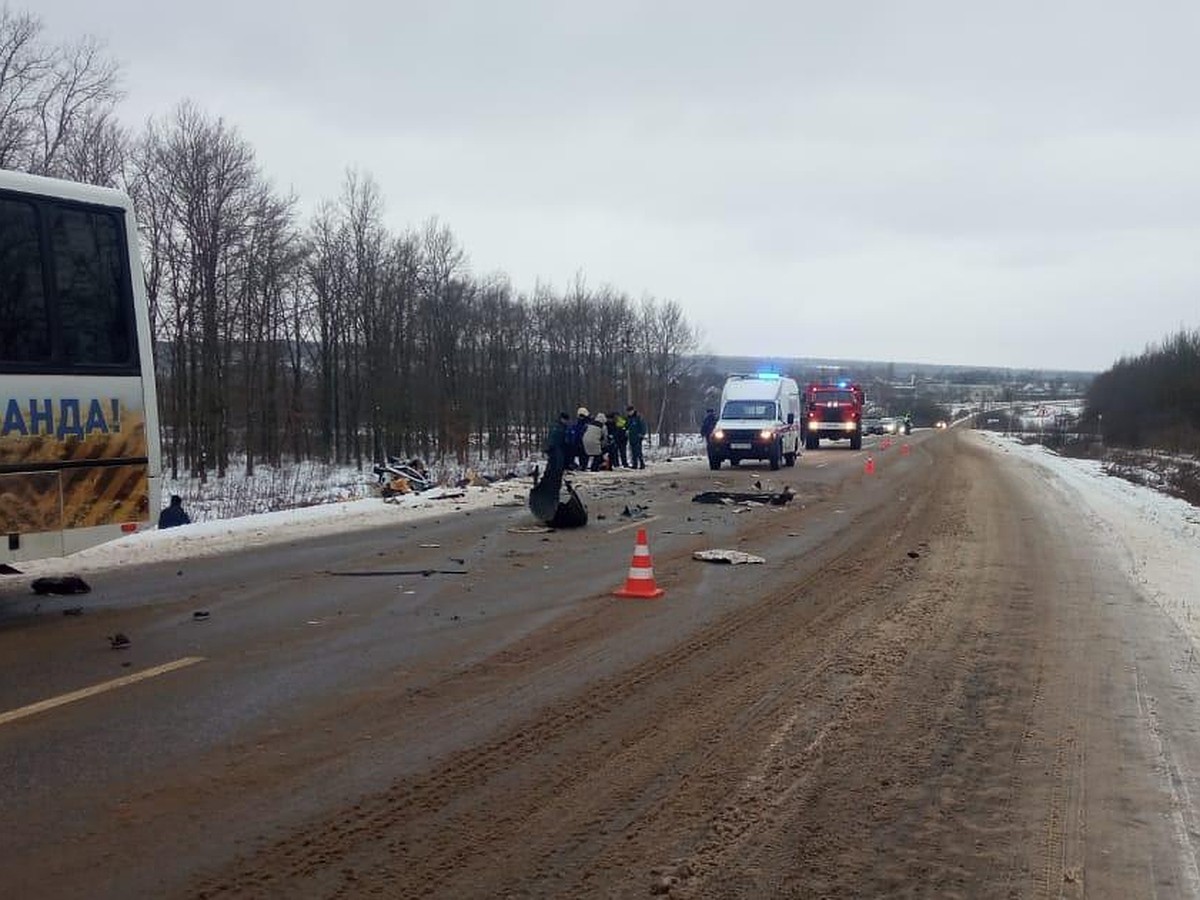 Два пассажира микроавтобуса погибли и шестеро пострадали в ДТП под Липецком  - KP.RU