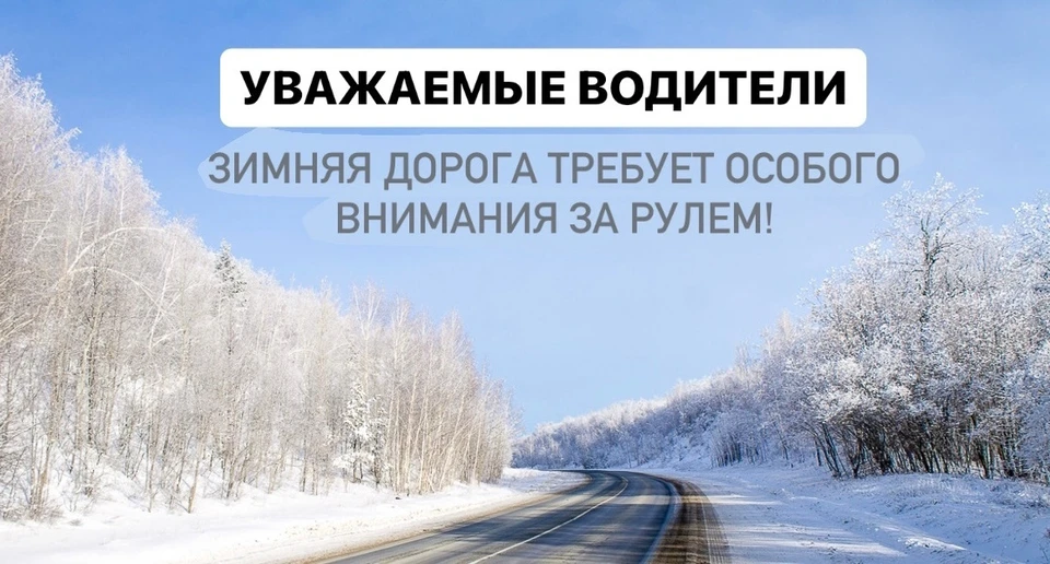 Фото: пресс-служба УГИБДД УМВД России по Костромской области