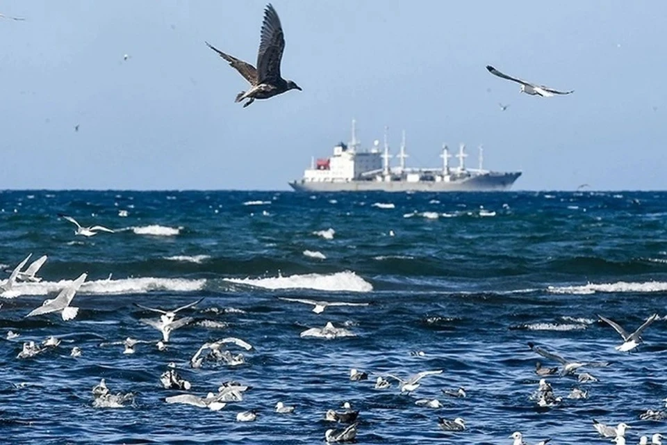 ВМС Британии сообщили о вероятном взрыве в Красном море