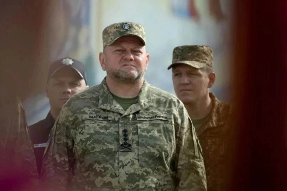 Депутат Рады Безуглая создала опрос по кандидату на место Залужного