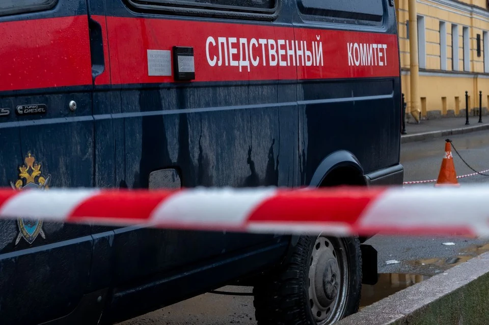 СК начал проверку по факту избиения подростками дворника в Новосибирске.