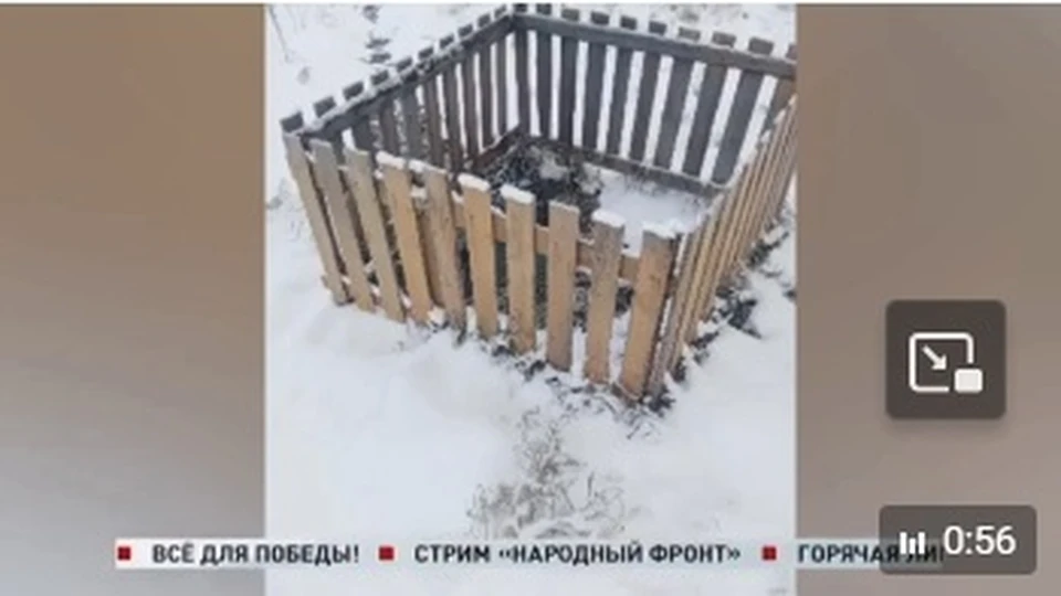 Фото: В качестве туалета на задворках вырыли небольшую выгребную яму/ Народный фронт Костромская область