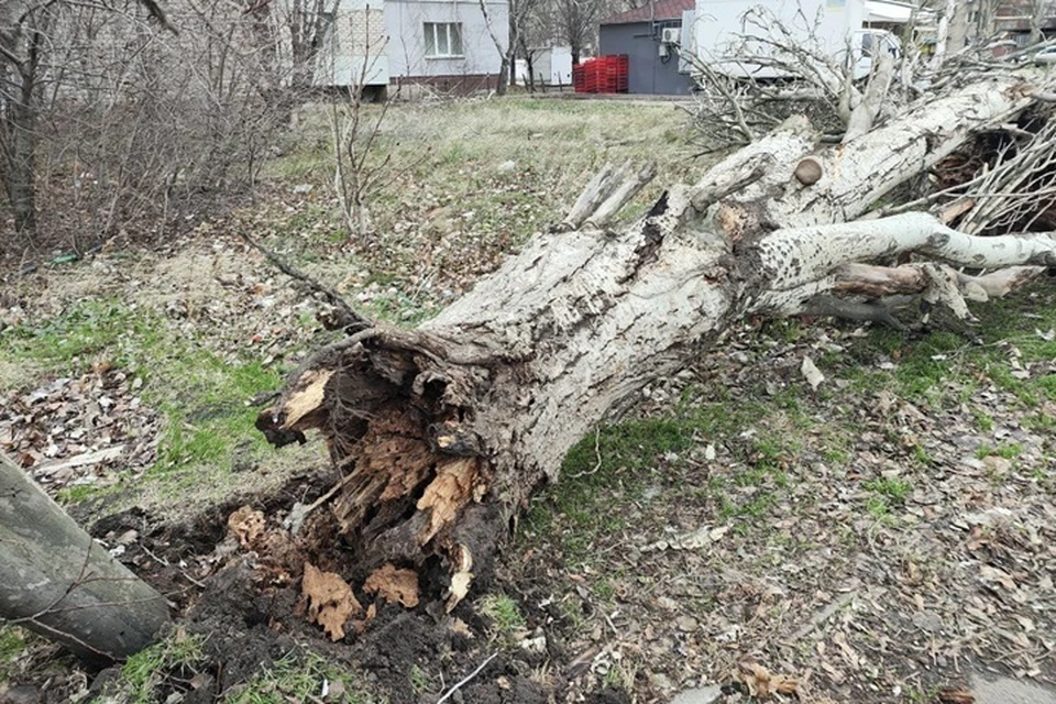 Городские службы продолжают ликвидацию последствий непогоды в Луганске