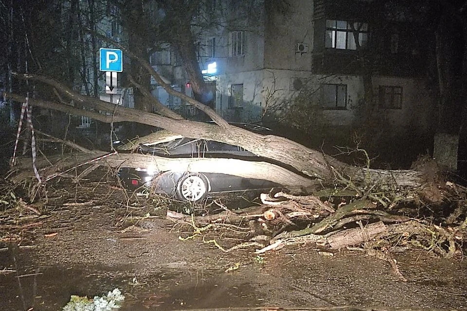 Фото: пресс-служба администрации Сак