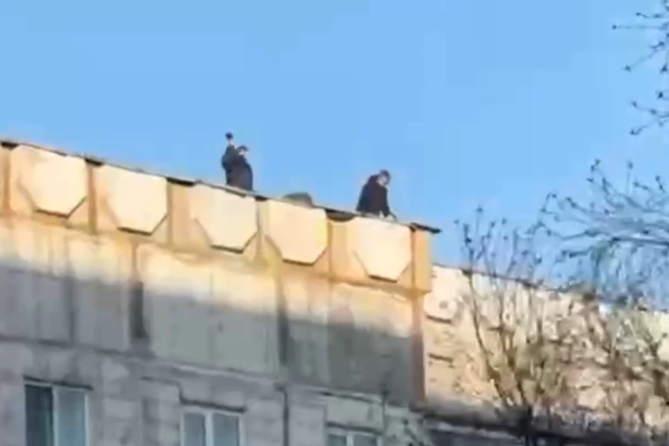 Дети на крыше.