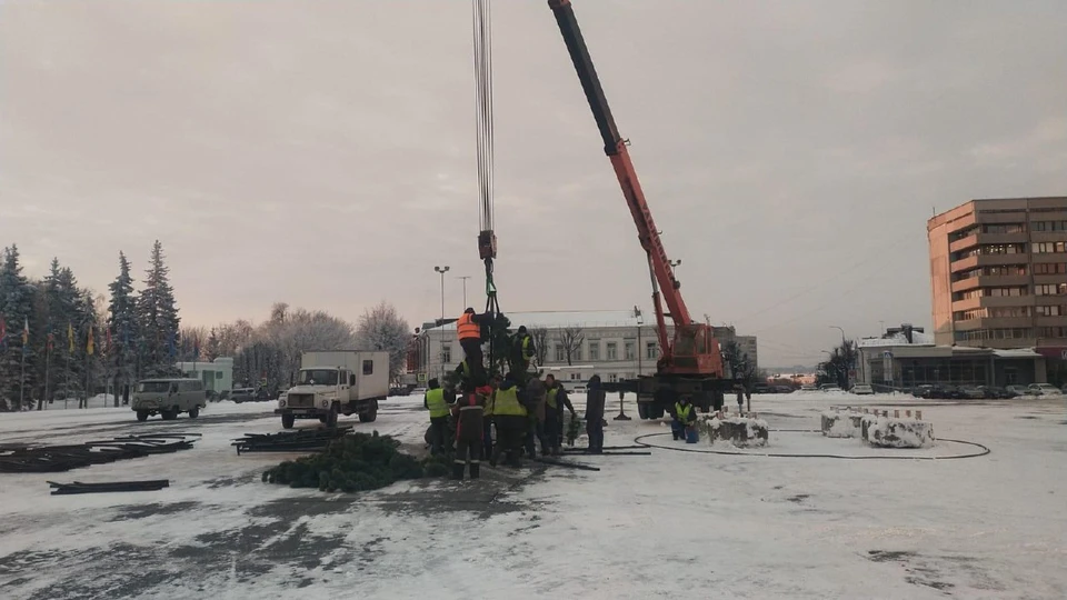 В Ульяновске на Соборной площади начали собирать главную новогоднюю елку | ФОТО: телеграм-канал “Городской центр по благоустройству и озеленению г. Ульяновска”