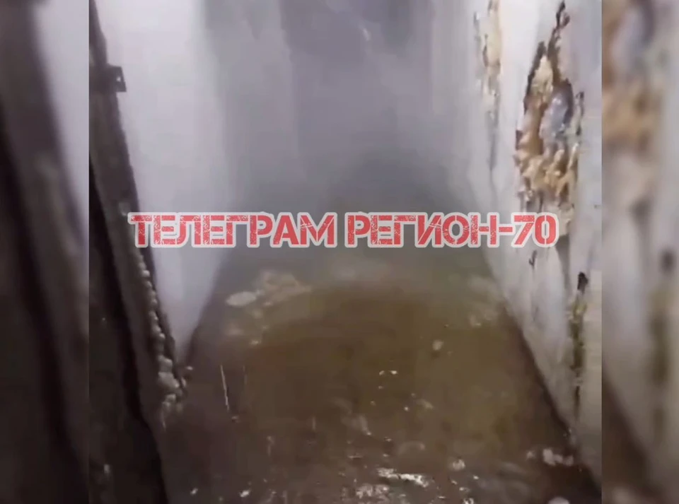 Фото: телеграм-канал "Регион-70"