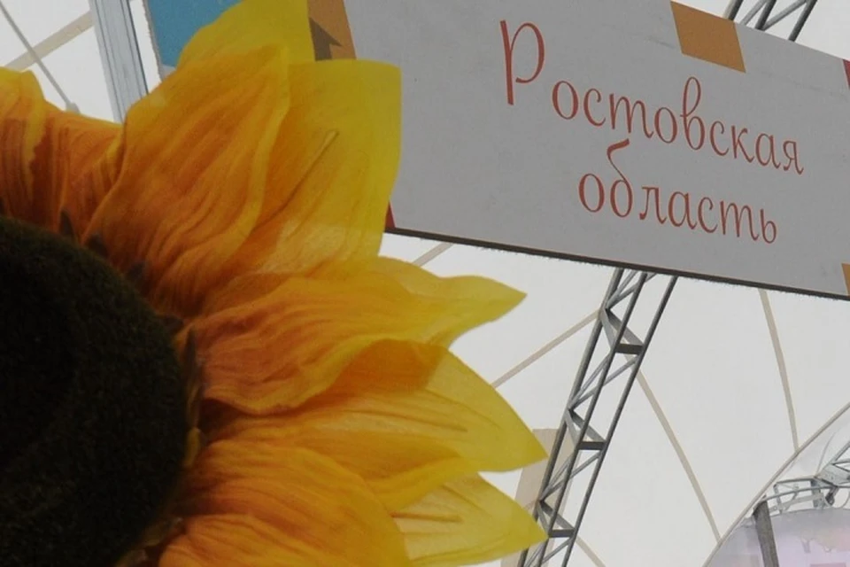 Регион представит посетителям площадки свои достижения и проекты