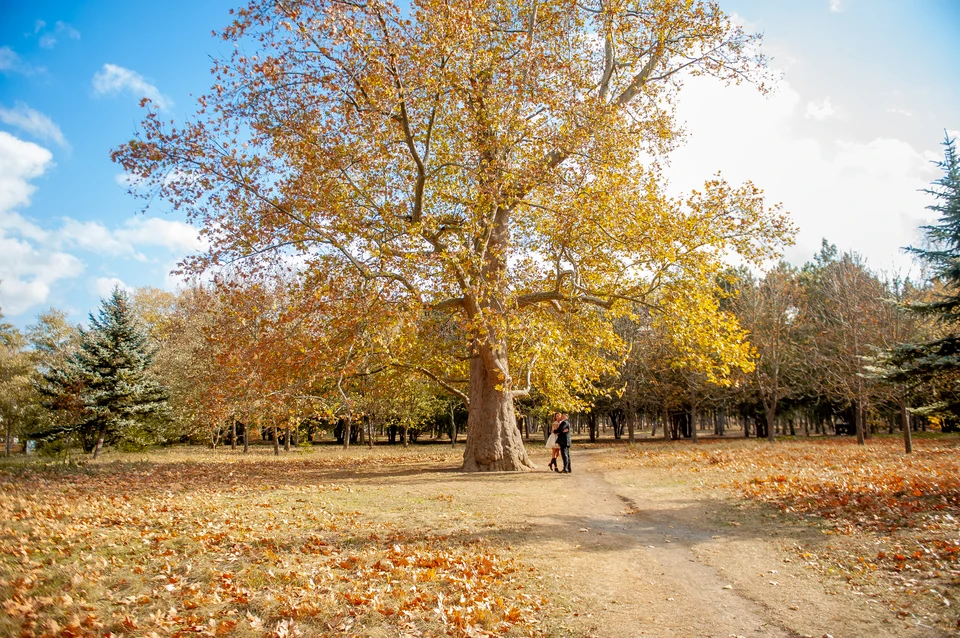 Холода отступили
