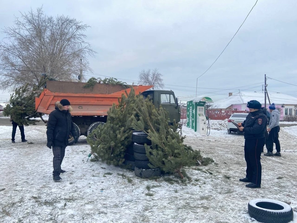 Фото: УМВД Челябинска