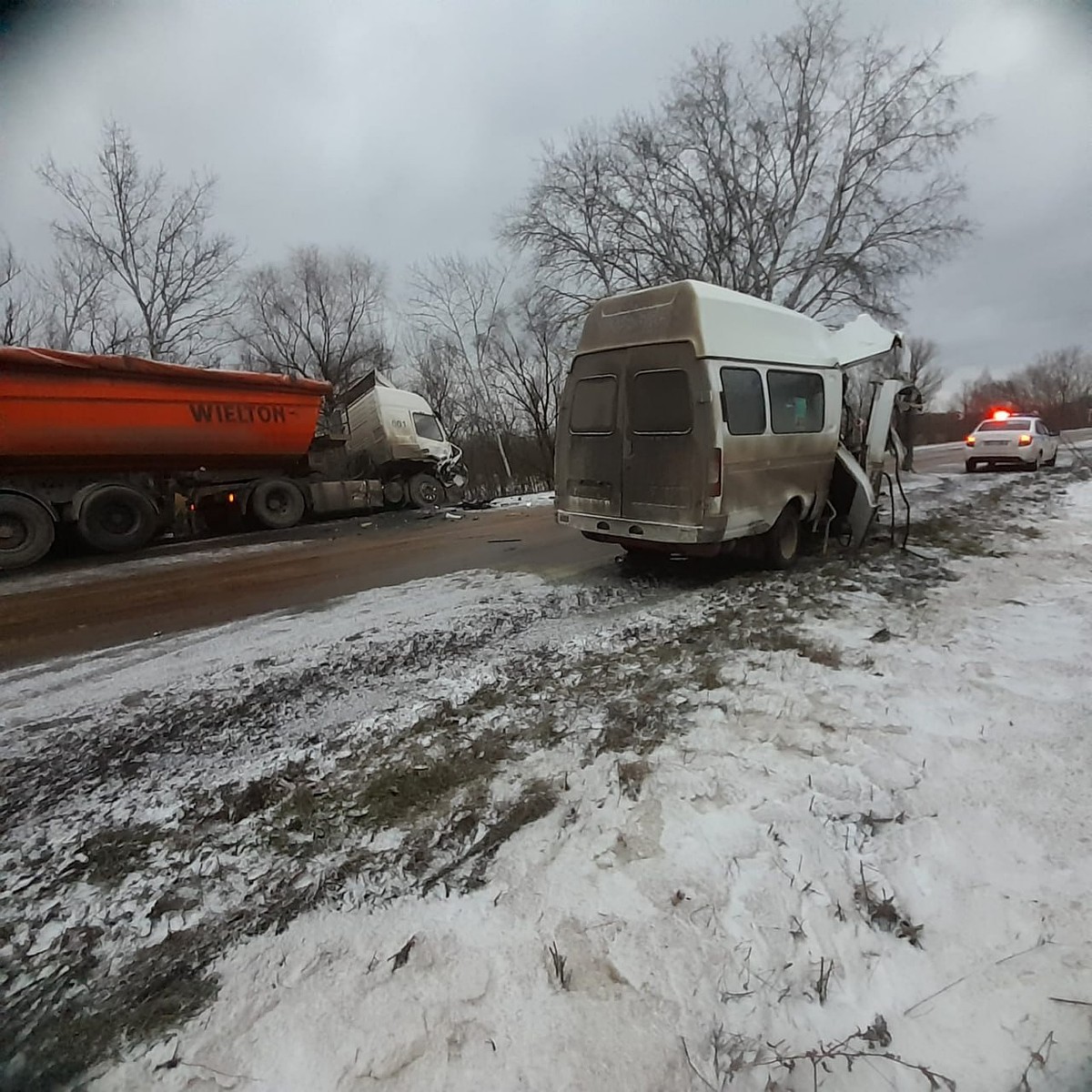 В Воронежской области в ДТП с большегрузом пострадали два пассажира  микроавтобуса - KP.RU